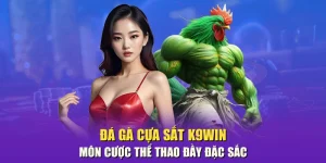 Đá gà cựa sắt K9win