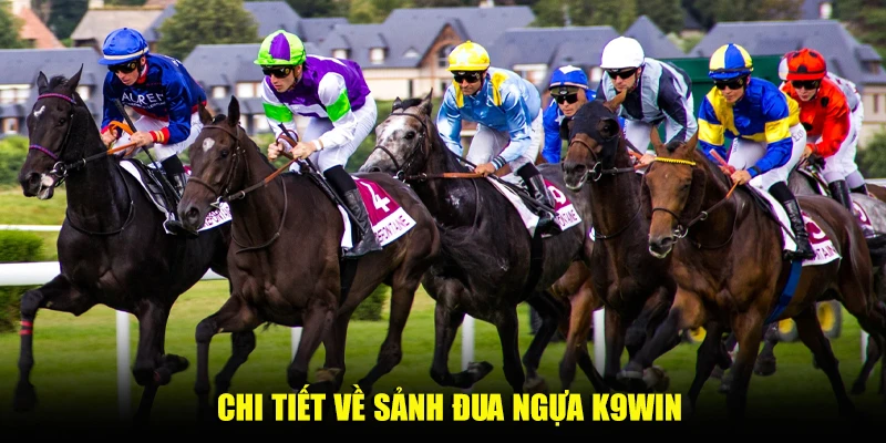 Chi tiết về sảnh đua ngựa K9win