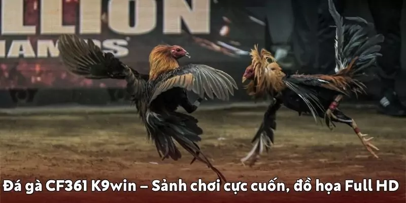 Đá gà CF361 K9win – Sảnh chơi cực cuốn, đồ họa Full HD