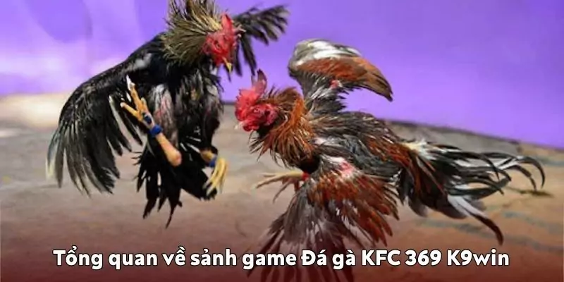 Tổng quan về sảnh game Đá gà KFC 369 K9win